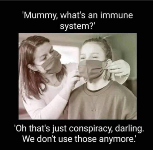 What_Is_An_Immune_System