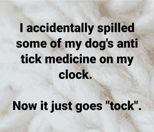 20:21:01 GMT-0400 (EDT)