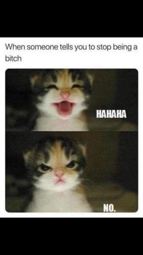 20:29:39 GMT-0700 (PDT)