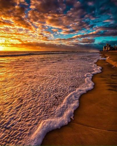 54515198_2403930246509206_3672652682570498048_n