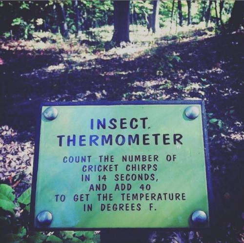 16:55:39 GMT-0500 (CDT)