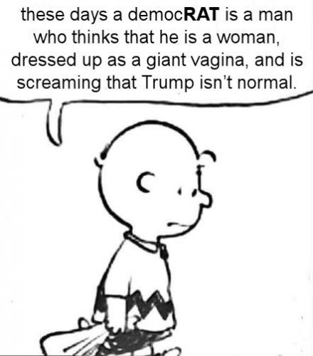 democrats418