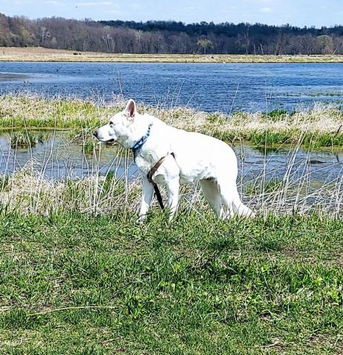 19:22:31 GMT-0500 (CDT)