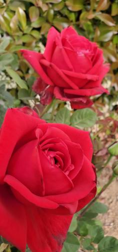 23:34:12 GMT-0700 (PDT)