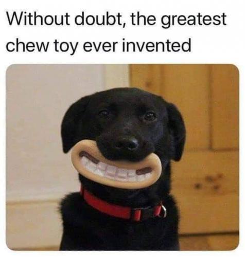 20:41:11 GMT-0400 (EDT)