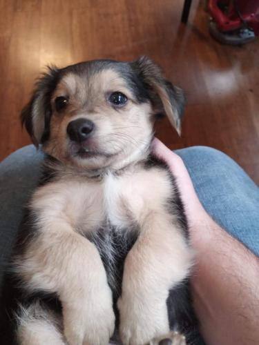 16:05:16 GMT-0400 (EDT)