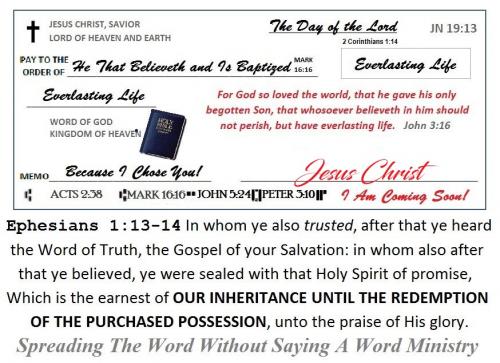 176331387_1491237391207185_7331346383270658969_n