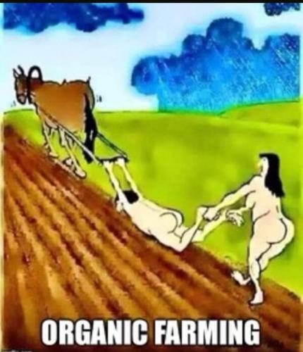 18:50:23 GMT-0500 (CDT)