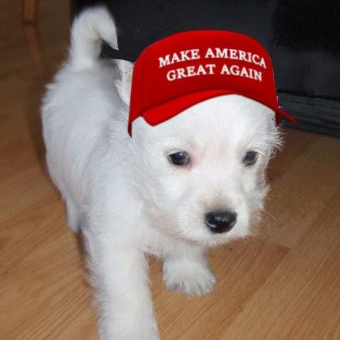 51144456_10210741447250796_6929686117256003584_n