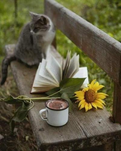 08:09:52 GMT-0500 (CDT)