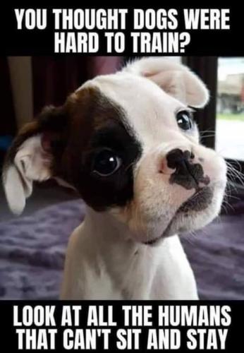 13:03:36 GMT-0700 (PDT)