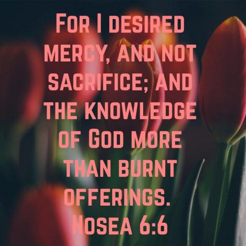 06:21:19 GMT-0500 (CDT)