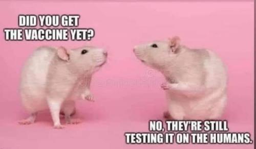 20:17:53 GMT-0500 (CDT)