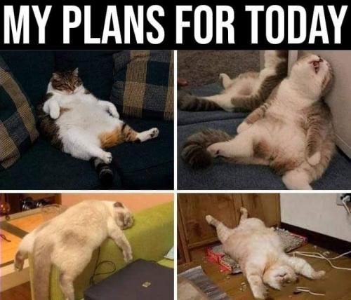 09:45:25 GMT-0400 (EDT)