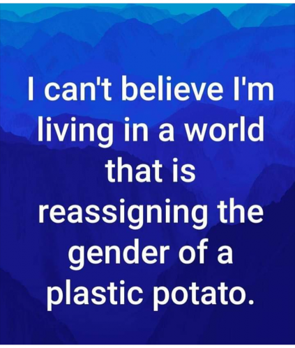 20:04:29 GMT-0400 (EDT)