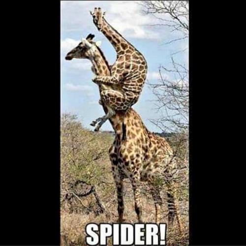 23:37:22 GMT-0700 (PDT).image