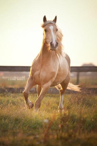 c652cae3bd986b492a2a0df3f711d5fc