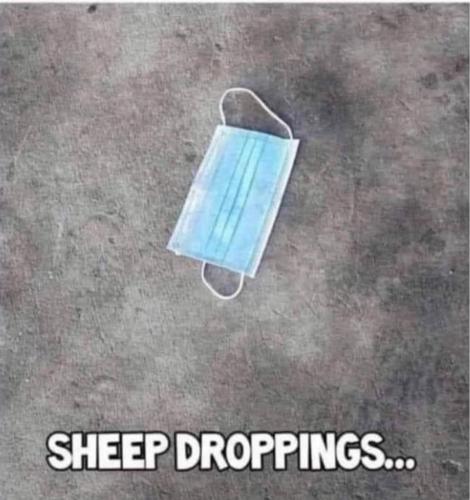 16:04:34 GMT-0500 (CDT)