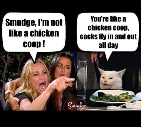 14:55:35 GMT-0700 (PDT)