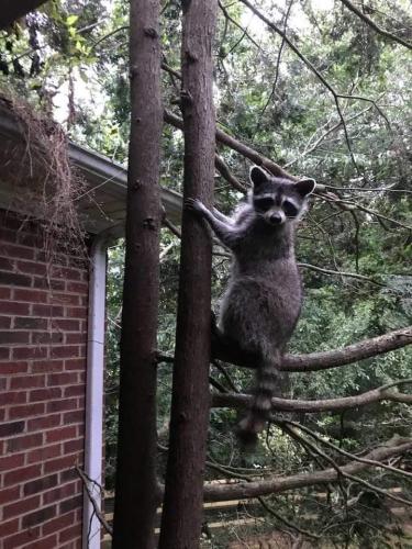 12:13:48 GMT-0400 (EDT)