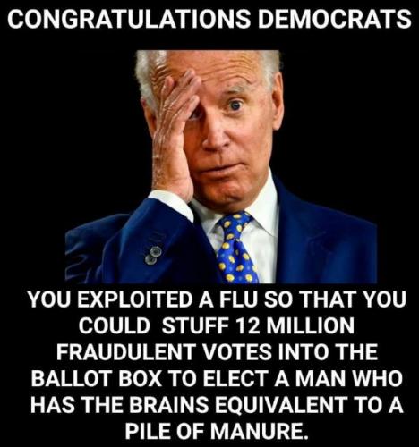 biden479