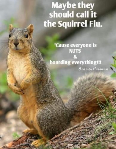 SQUIRREL