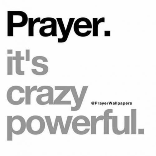 19424320_1494863257241566_6898209934907996872_n