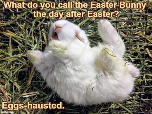 FB_IMG_1617665290677