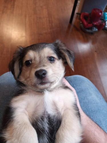 16:05:16 GMT-0400 (EDT)