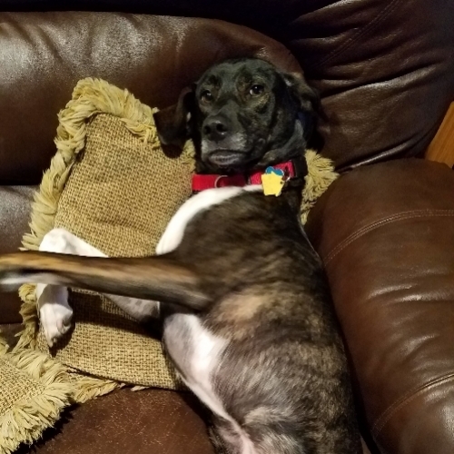 14:07:42 GMT-0400 (EDT)