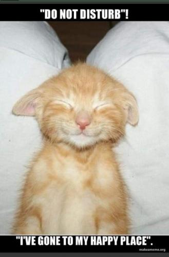 18:51:34 GMT-0700 (PDT)