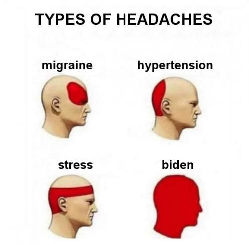biden494