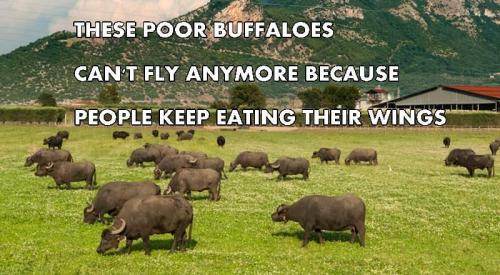 17:20:04 GMT-0400 (EDT)