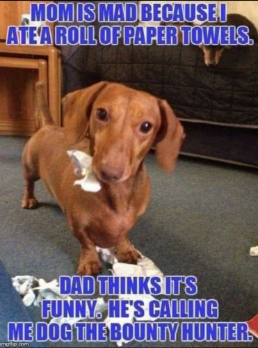 17:01:16 GMT-0400 (EDT)