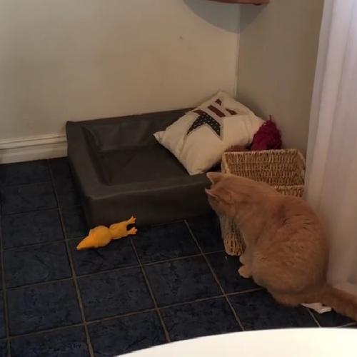 22:13:18 GMT+0100 (WAT)