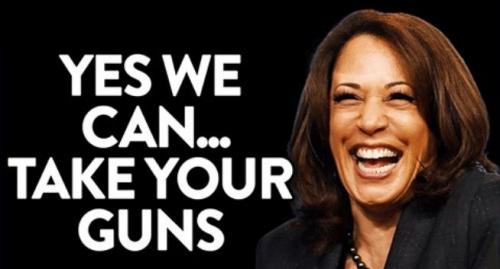 gun control187
