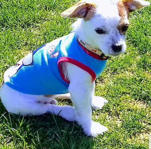 07:47:17 GMT-0500 (CDT).png