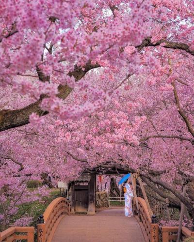 166703779_2909738632630686_1313084880223379132_n