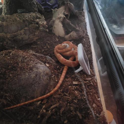 19:58:58 GMT-0400 (EDT)