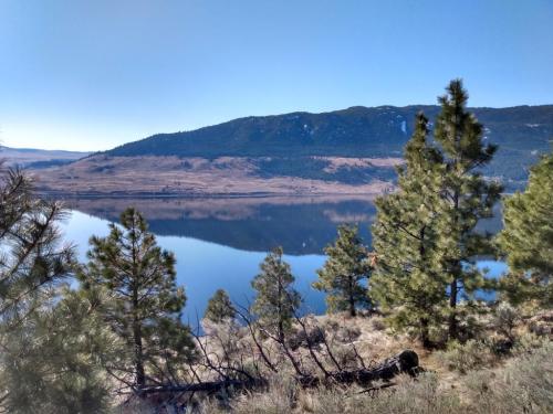 IMG_20210415_092921266_HDR