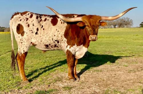 168446222_2238015259668956_6311783204047053285_n