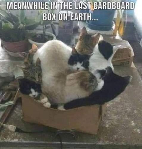 12:22:11 GMT-0700 (PDT)