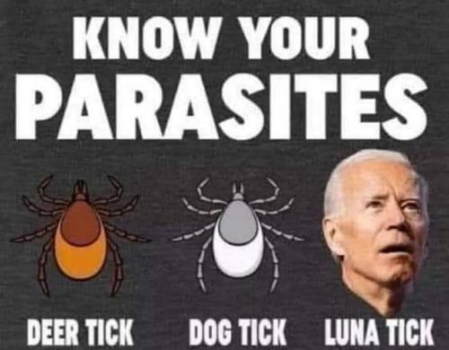 15:10:40 GMT-0500 (CDT)