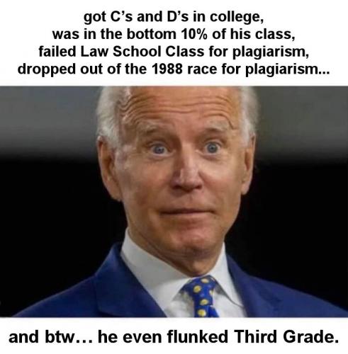 biden482