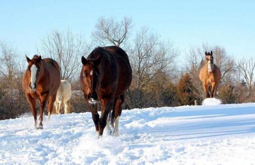 172727583_1554434028089275_7575591961580693695_n