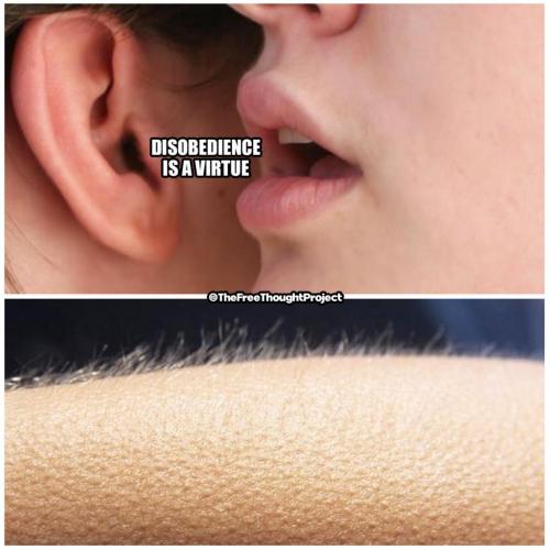 174568812_2527142184259647_3099528586559132966_n