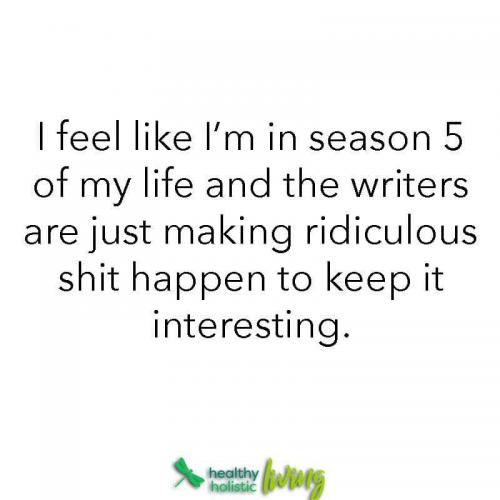 56744591_1955537107905340_5477085404169502720_n