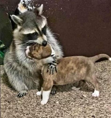 15:58:57 GMT-0700 (PDT)