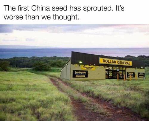 116153995_3276404479048319_8336238743422036201_n