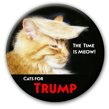 12552940_1711703052408825_1973659862753151761_n